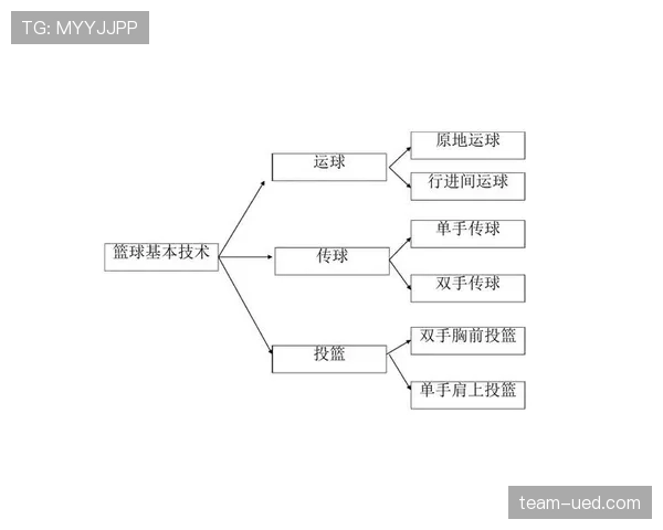 深入解读篮球规则走步和两次运球区别的具体判定标准是什么