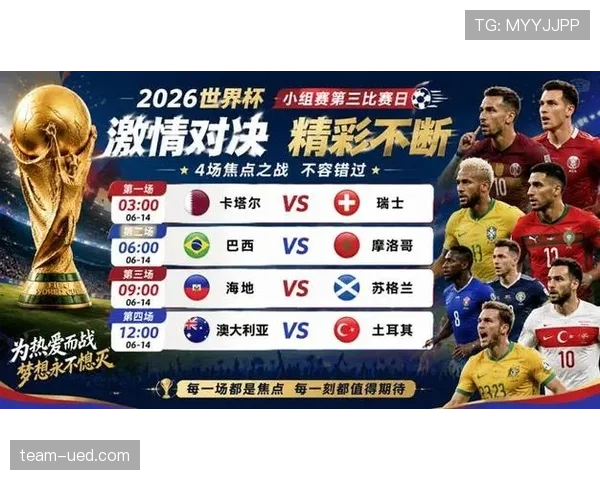 世界杯土耳其队D组关键比赛解析